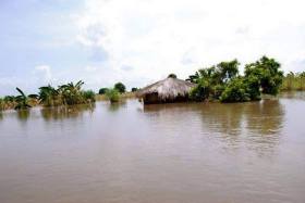 10859372_436267029859269_1218466487_n