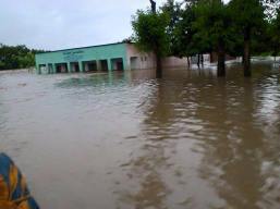 10897743_414118018759288_6642414618352232238_n